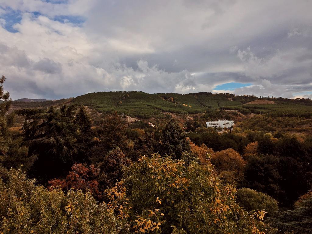 Hotel Avis Szandanszki Kültér fotó